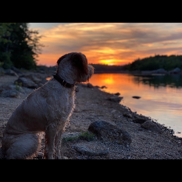 Meet your Posher, Nicolle (📍Halifax, NS) - Picture 3 of 8